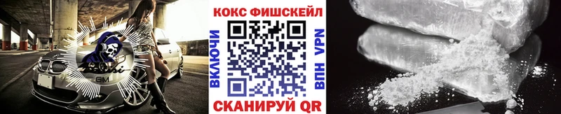 Купить закладки  Славгород  КОКАИН Fish Scale 