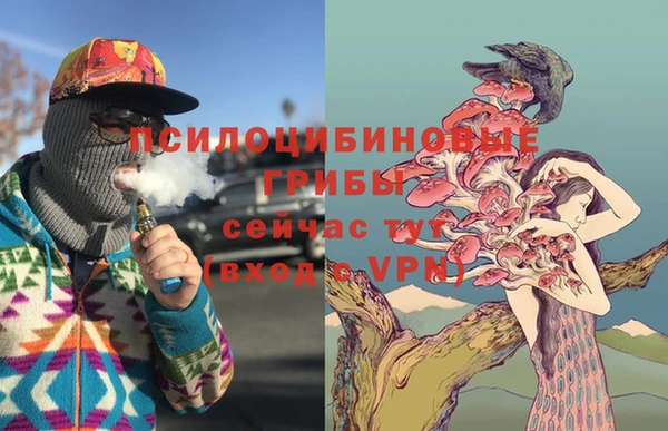 PSILOCYBIN Нея