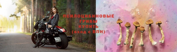 дживик Нефтегорск
