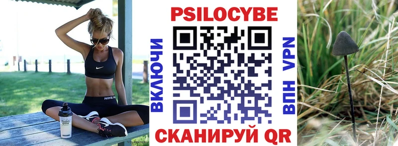 Купить  Славгород  Псилоцибиновые грибы ЛСД 